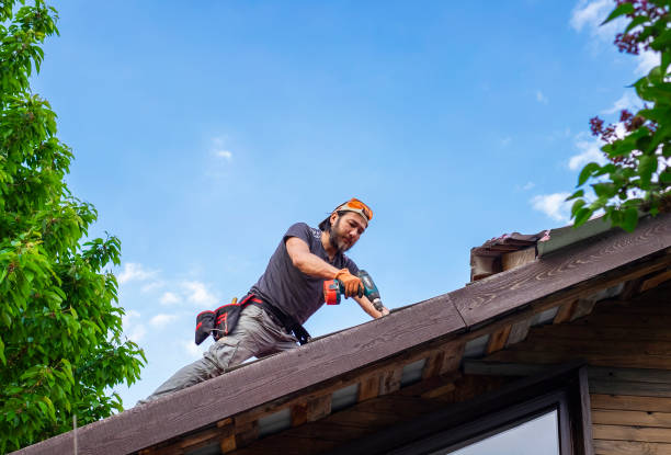 Best Emergency Roof Repair Services  in Nederland, CO
